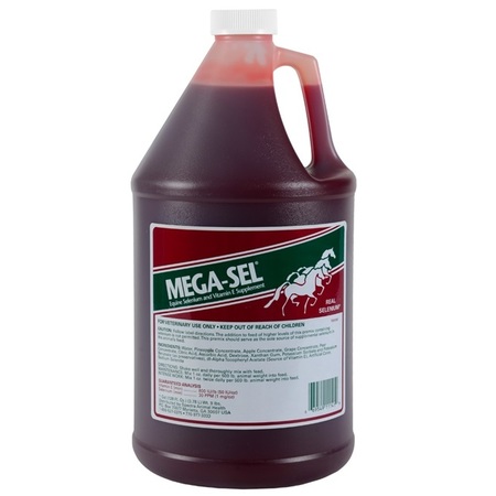 SPECTRA Mega-Sel Gallon 11131-GL